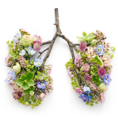 sticks with flowers and leaves representing lungs Pulmonary Associates of Richmond